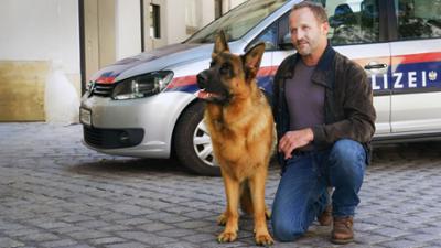 Kommissar Rex: Wien sehen und sterben: Comeback mit WAU-Faktor