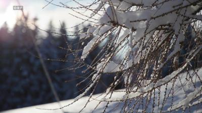 Rückblick auf den eisigen Winter: ZIB Magazin Klima