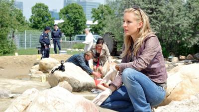 Soko Donau: Staffel 6