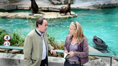 Soko Donau: Staffel 6