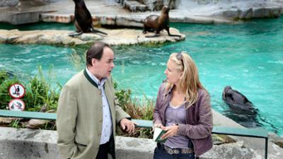 Soko Donau: Staffel 6