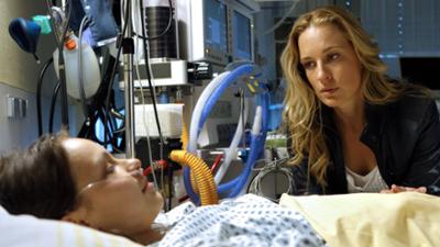 Soko Donau: Staffel 9