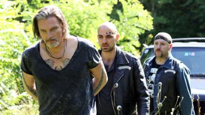 Soko Donau: Staffel 9