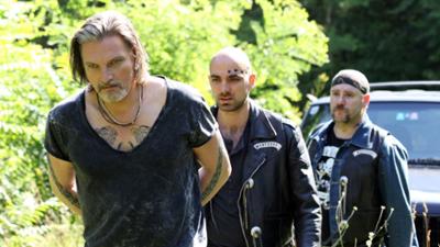 Soko Donau: Staffel 9