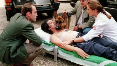Staffel 1: Kult-Serie "Kommissar Rex" (3/14): Flucht in den Tod
