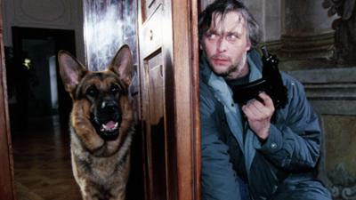 Staffel 1: Kult-Serie "Kommissar Rex" (5/14): Tanz auf dem Vulkan