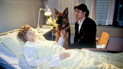 Staffel 1: Kult-Serie "Kommissar Rex" (8/14): Amok