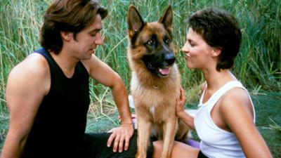 Staffel 2: Kult-Serie "Kommissar Rex" (3/15): Ein mörderischer Sommer