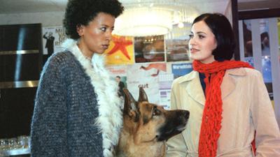 Staffel 8: Kult-Serie "Kommissar Rex" (6/15): Nina um Mitternacht