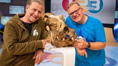 Tierisch tolle Zähne: 1, 2 oder 3