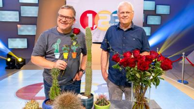 Von Dornen und Stacheln: 1, 2 oder 3