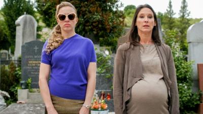 Vorstadtweiber (2/10): Staffel 2