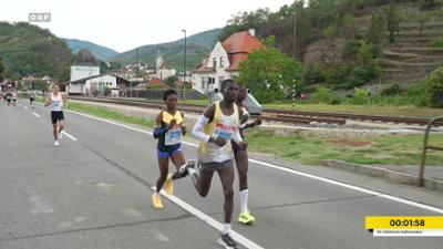 Wachau Marathon 2026: Wachau-Marathon
