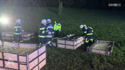 Aktuell nach eins