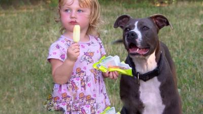 Am Schauplatz: Treue Gefährten, harte Lebenswege