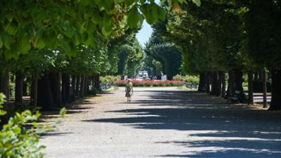 Aufgetischt: Schönbrunn
