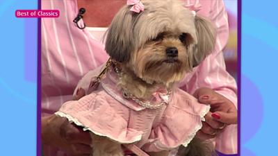 Barbara Karlich Show: Tierische Freunde