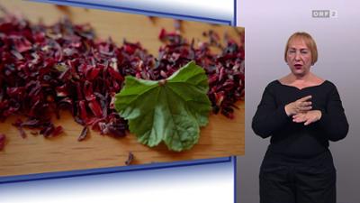 Bewusst gesund: (ÖGS)