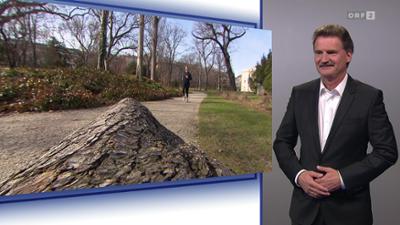 Bewusst gesund: (ÖGS)