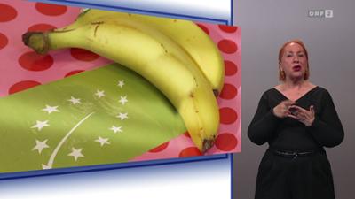 Bewusst gesund: (ÖGS)