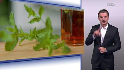 Bewusst gesund: (ÖGS)