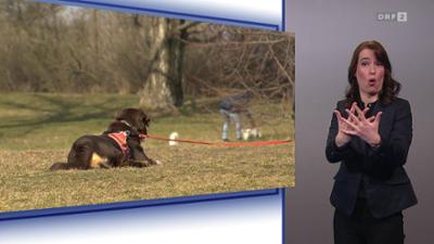 Bürgeranwalt (ÖGS)