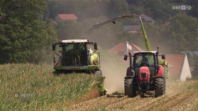 Burgenland heute