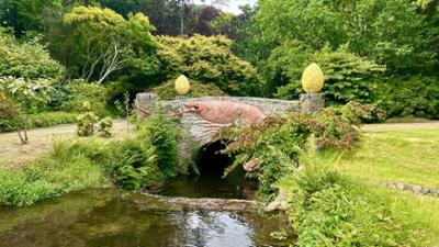 Das blühende Dublin: Karl Ploberger auf Entdeckungsreise