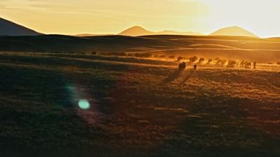 Das große Herz Amerikas - Die Great Plains: Universum Spezial
