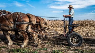 Das Leben der Amish: kreuz & quer