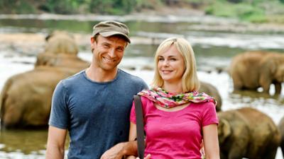 Das Traumhotel: Kultreihe