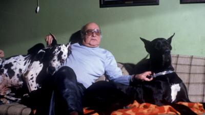 Denn Hundeherzen schlagen treu: Alltagsgeschichten