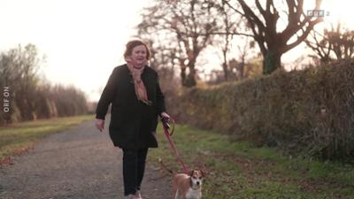 Die gute Minute: Geschichten für die Adventzeit