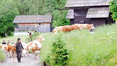 Die Riesneralm - Aufifoarn zum Owikemman