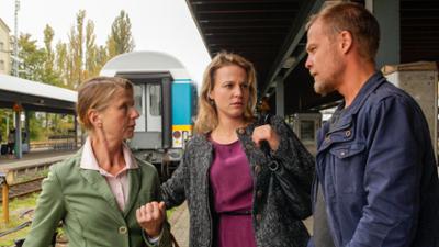 Die Toten vom Bodensee: Krimi