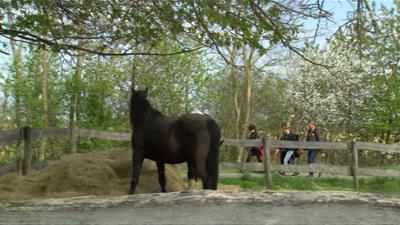 Dobar dan Hrvati: Dobar dan, Hrvati