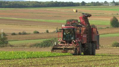 Dobar dan Hrvati: Dobar dan, Hrvati
