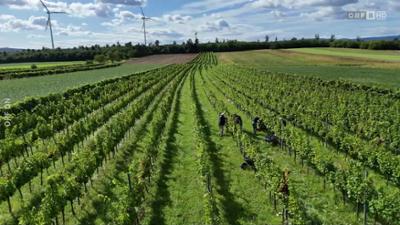 Dobar dan Hrvati: Dobar dan, Hrvati