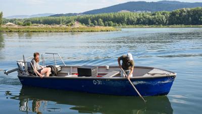 Donaufischer in Oberösterreich: Frischer Fisch für Linz