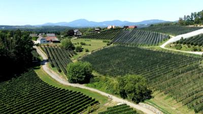 Erlebnis Österreich