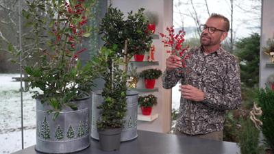 Garteln in Salzburg: Wöchentlicher Tipp von Karl Ploberger