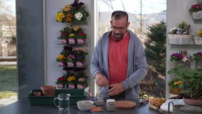 Garteln in Salzburg: Wöchentlicher Tipp von Karl Ploberger