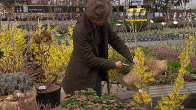 Gartentipp: Tipps und Trends im Garten