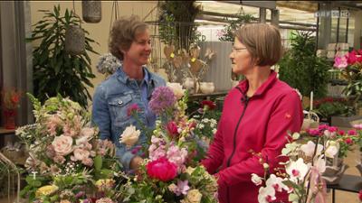 Gartentipp: Tipps und Trends im Garten