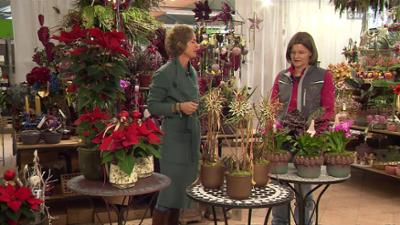 Gartentipp: Tipps und Trends im Garten