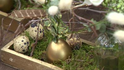 Gartentipp: Tipps und Trends im Garten