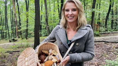 G'sund in Österreich: (ÖGS)