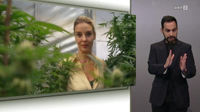 G'sund in Österreich: (ÖGS)