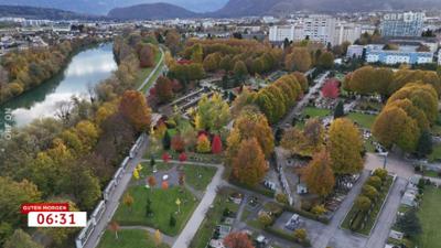 Guten Morgen Österreich