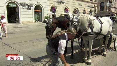 Guten Morgen Österreich